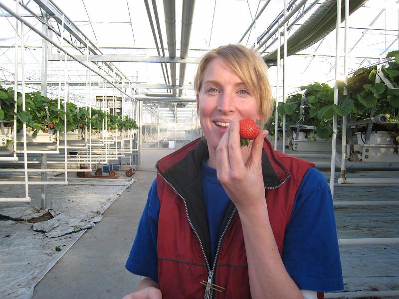 Elianny eerste veiling Fruitmasters Koningsplant john ard leon Vissers aardbeiplanten BV America (7).JPG